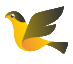 CSRD