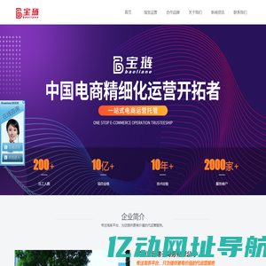 淘宝代运营公司-天猫网店托管-电商代运营「宝琏电商」
