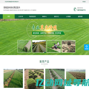 海口草皮基地-海南绿化草皮-海口绿化草坪-海南草皮批发-海南园林绿化草皮苗木