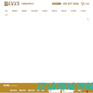 「奥烨移民公司」 » – 专注澳洲移民,美国移民,欧洲移民,购房移民