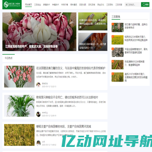 新三农 - 发展农业，建设农村，服务农民