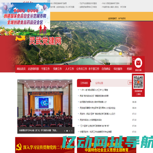 灵武党建网