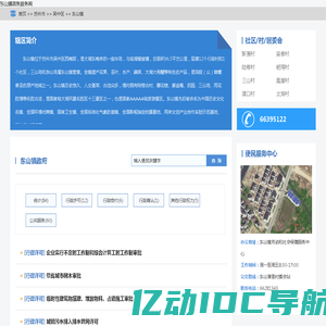 东山镇政务服务网
