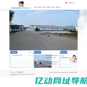 天津上达干燥花有限公司