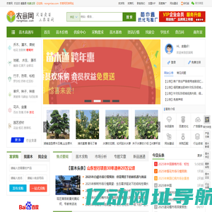 农苗网|苗木求购信息-园林绿化专业苗木网站