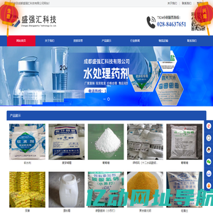 成都盛强汇科技有限公司