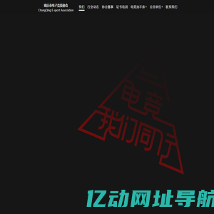 重庆市电子竞技协会
