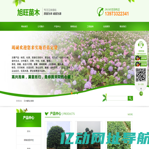 湖南杯苗基地-湖南造型罗汉松-湖南造型树桩-浏阳市旭旺苗木种