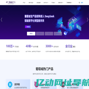 葡萄城官网 - 为开发者提供专业的开发工具、解决方案和服务，赋能开发者