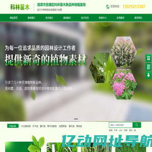 湘潭科林苗木新品种培植基地_观赏苗木经营