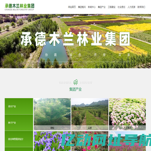 承德木兰林业集团 | 木兰林业 | 森林管护