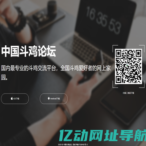 中国斗鸡论坛