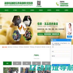 鸡苗批发-鸭苗|鹅苗|禽苗批发-选福建莆田信群鸡苗批发厂家