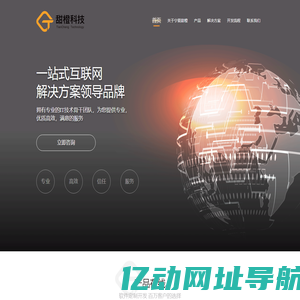 宁夏甜橙科技有限公司