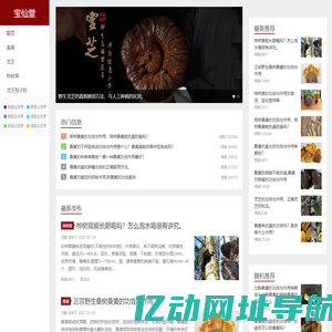 白桦茸-桦树茸的功效与作用 - 宝仙堂桦树茸