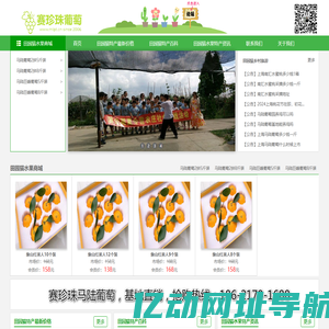 马陆葡萄网-马陆葡萄采摘攻略|新品种|礼盒装|价格多少钱一斤