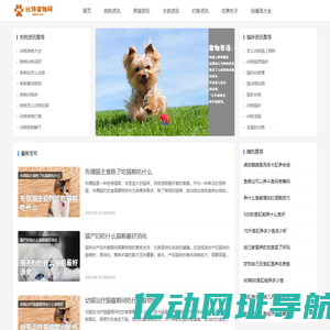 比特宠物吧 宠物资讯 句子 祝福语大全