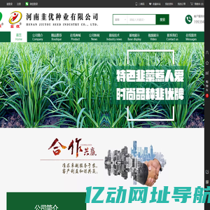 河南韭优种业有限公司