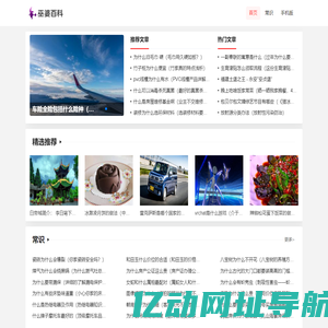 巫婆百科