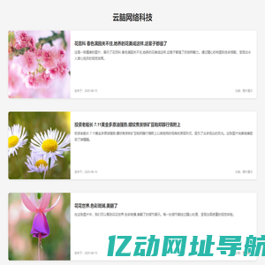 云脑网络科技