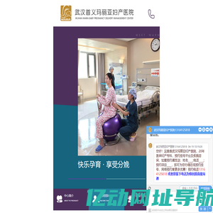 武汉玛丽亚网