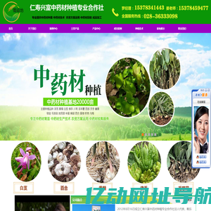 毛慈菇种苗,天冬种苗,中药材种苗,百合种苗,黄精种苗，白芨种苗，中草药种植，丹参种苗，佛手苗，射干种子，百合种子，射干苗，创业项目，中药材种植技术，黄连种苗，淫羊藿苗，