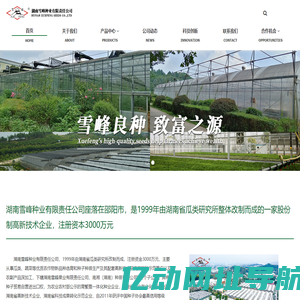 雪峰种业-专注于优质瓜类品种的育种公司