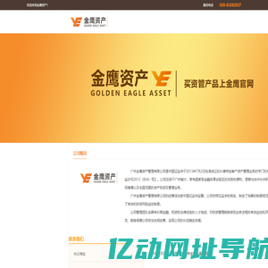 金鹰资产