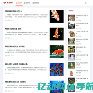 宠问问 - 宠物行业信息网站