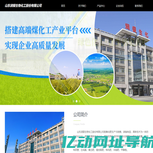 山东润银生物化工股份有限公司