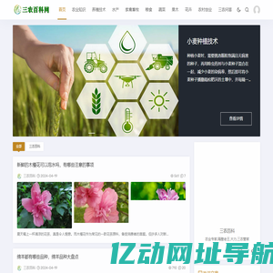 三农百科网 - 专业农业知识养殖和种植技术信息分享!—和达网络