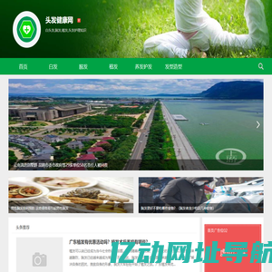 白头发,脱发,植发-头发健康网
