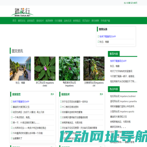踏花行