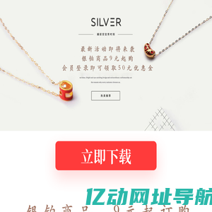 银闪订