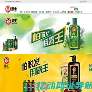 霸王国际(集团)控股有限公司官方网站