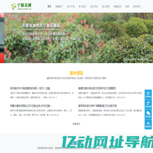 滁州苗圃场,滁州苗木价格,滁州苗木批发基地—滁州市宁滁苗圃场