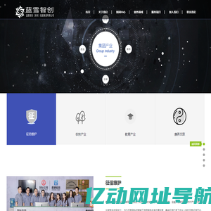 蓝雪智创（深圳）控股集团有限公司