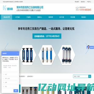 玻璃转子流量计,LZB玻璃转子流量计,DK800玻璃转子流量计-常州市凯悦热工仪表有限公司