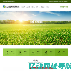 大面积种植大豆种子_内蒙古抗倒伏高蛋白大豆_稳产黄豆种子-内蒙古瑞杨种业股份有限公司