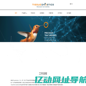 全景组织细胞定量分析系统|肿瘤免疫微环境分析|组织流式定量分析|免疫治疗预后评估-TissueGnostics
