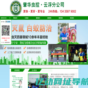 云浮灭虫-云浮杀虫-云浮杀虫公司-云浮白蚁防治-肇华虫控云浮分公司-肇庆市星辉家政服务有限公司
