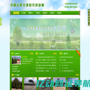 山西交城白皮松 - 交城县兄弟白皮松科技开发有限公司|兄弟苗圃|山西交城县兄弟苗圃|交城白皮松|交城兄弟苗圃|苗圃|绿化|松树|山西交城白皮松