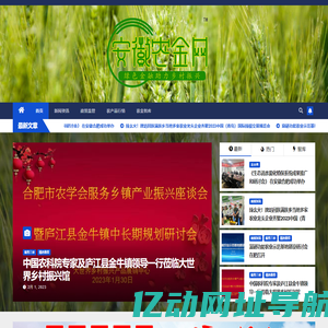 安徽农金网 – 安徽农村金融门户