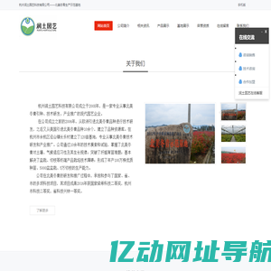 杭州润土园艺科技有限公司-北美冬青_北美冬青小苗_北美冬青盆栽_|福来红|润土园艺