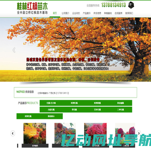 全州县立桥红枫苗木基地
