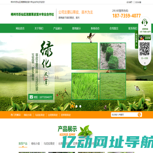 郴州市苏仙区湘意草皮苗木专业合作社_郴州马尼拉草皮销售|郴州苗木种植基地|郴州玉龙草草皮