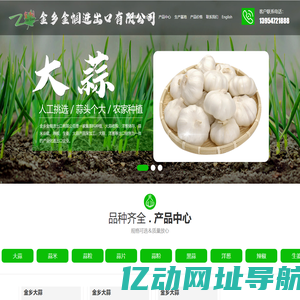 大蒜代收_洋葱存储_洋葱代收代存-金乡金帼进出口有限公司