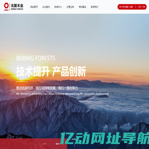 北新国际木业有限公司