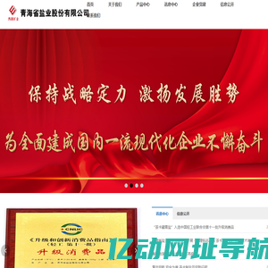 青海省盐业股份有限公司