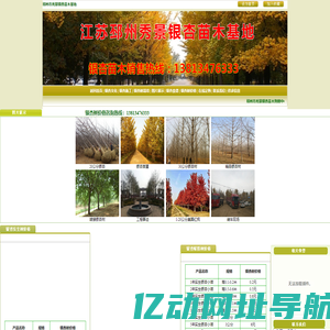 银杏树,银杏树价格,银杏树苗价格,银杏价格,邳州市秀景银杏苗木基地http://www.yinxing8.com